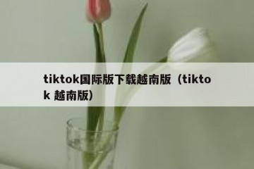 tiktok国际版下载越南版（tiktok 越南版）