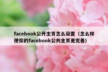 facebook公开主页怎么设置（怎么样使你的facebook公共主页更完善）