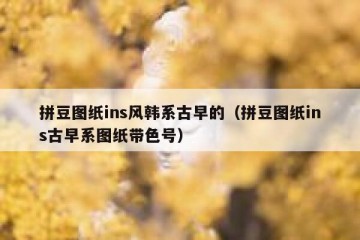 拼豆图纸ins风韩系古早的（拼豆图纸ins古早系图纸带色号）