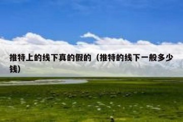 推特上的线下真的假的（推特的线下一般多少钱）
