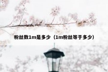 粉丝数1m是多少（1m粉丝等于多少）