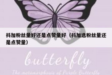 抖加粉丝量好还是点赞量好（抖加选粉丝量还是点赞量）