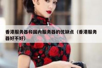 香港服务器和国内服务器的优缺点（香港服务器好不好）