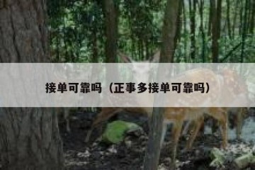 接单可靠吗（正事多接单可靠吗）