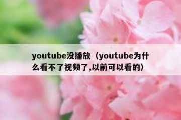 youtube没播放（youtube为什么看不了视频了,以前可以看的）