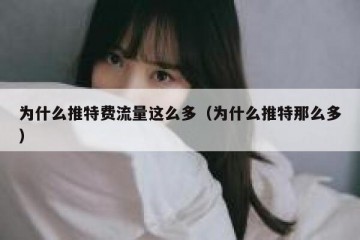 为什么推特费流量这么多（为什么推特那么多）