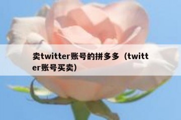 卖twitter账号的拼多多（twitter账号买卖）