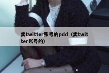 卖twitter账号的pdd（卖twitter账号的）