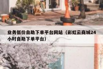 业务低价自助下单平台网站（彩虹云商城24小时自助下单平台）