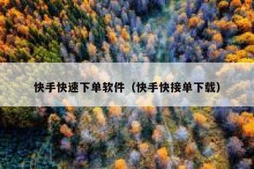 快手快速下单软件（快手快接单下载）