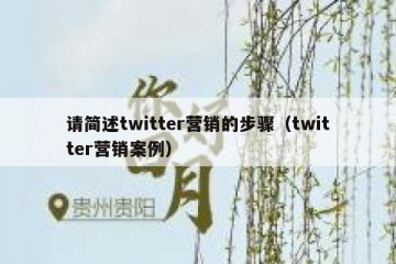 请简述twitter营销的步骤（twitter营销案例）