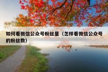 如何看微信公众号粉丝量（怎样看微信公众号的粉丝数）