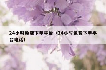 24小时免费下单平台（24小时免费下单平台电话）