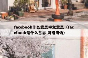 facebook什么意思中文意思（facebook是什么意思 网络用语）