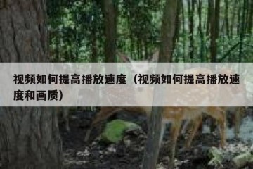 视频如何提高播放速度（视频如何提高播放速度和画质）