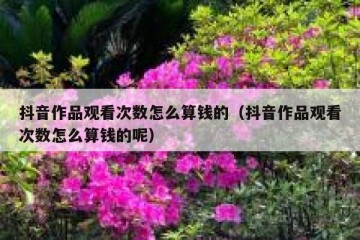 抖音作品观看次数怎么算钱的（抖音作品观看次数怎么算钱的呢）