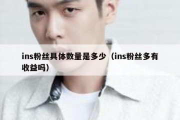 ins粉丝具体数量是多少（ins粉丝多有收益吗）