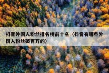 抖音外国人粉丝排名榜前十名（抖音有哪些外国人粉丝破百万的）
