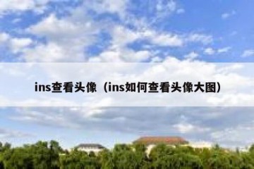 ins查看头像（ins如何查看头像大图）