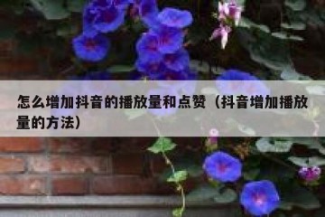怎么增加抖音的播放量和点赞（抖音增加播放量的方法）
