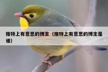 推特上有意思的博主（推特上有意思的博主是谁）