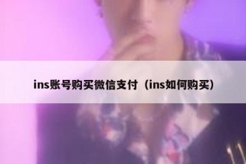 ins账号购买微信支付（ins如何购买）