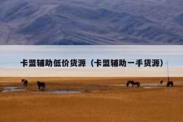 卡盟辅助低价货源（卡盟辅助一手货源）