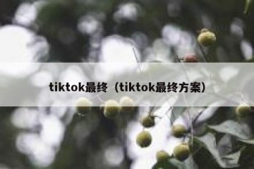 tiktok最终（tiktok最终方案）