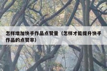 怎样增加快手作品点赞量（怎样才能提升快手作品的点赞率）