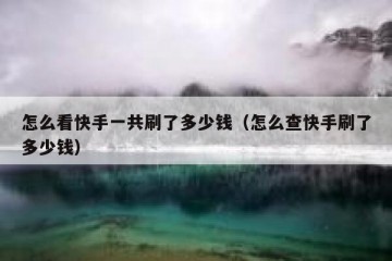 怎么看快手一共刷了多少钱（怎么查快手刷了多少钱）