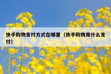 快手购物支付方式在哪里（快手购物用什么支付）