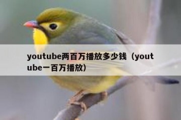 youtube两百万播放多少钱（youtube一百万播放）