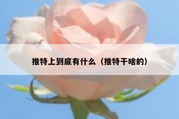 推特上到底有什么（推特干啥的）