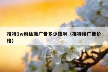 推特1w粉丝接广告多少钱啊（推特接广告价格）