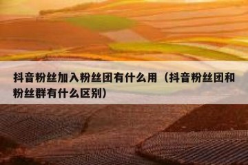 抖音粉丝加入粉丝团有什么用（抖音粉丝团和粉丝群有什么区别）