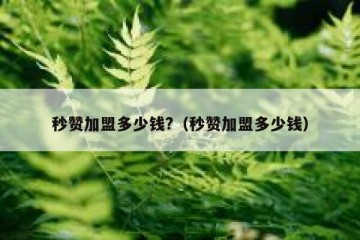 秒赞加盟多少钱?（秒赞加盟多少钱）