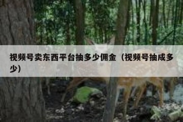 视频号卖东西平台抽多少佣金（视频号抽成多少）