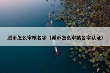 派币怎么审核名字（派币怎么审核名字认证）