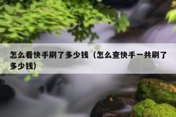 怎么看快手刷了多少钱（怎么查快手一共刷了多少钱）