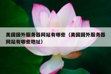 美国国外服务器网站有哪些（美国国外服务器网站有哪些地址）
