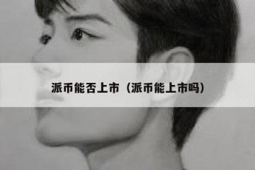 派币能否上市（派币能上市吗）