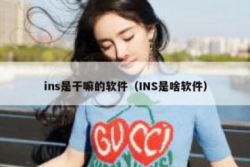 ins是干嘛的软件（INS是啥软件）
