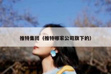 推特集团（推特哪家公司旗下的）