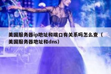 美国服务器ip地址和端口有关系吗怎么查（美国服务器地址和dns）