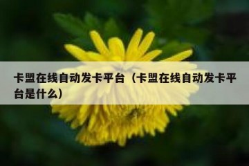 卡盟在线自动发卡平台（卡盟在线自动发卡平台是什么）
