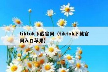 tiktok下载官网（tiktok下载官网入口苹果）