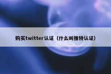 购买twitter认证（什么叫推特认证）
