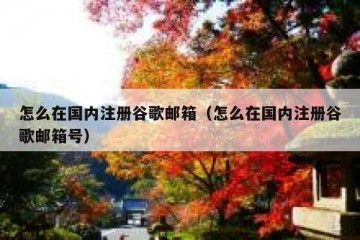 怎么在国内注册谷歌邮箱（怎么在国内注册谷歌邮箱号）