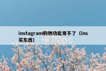 instagram购物功能用不了（ins买东西）