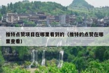 推特点赞项目在哪里看到的（推特的点赞在哪里查看）